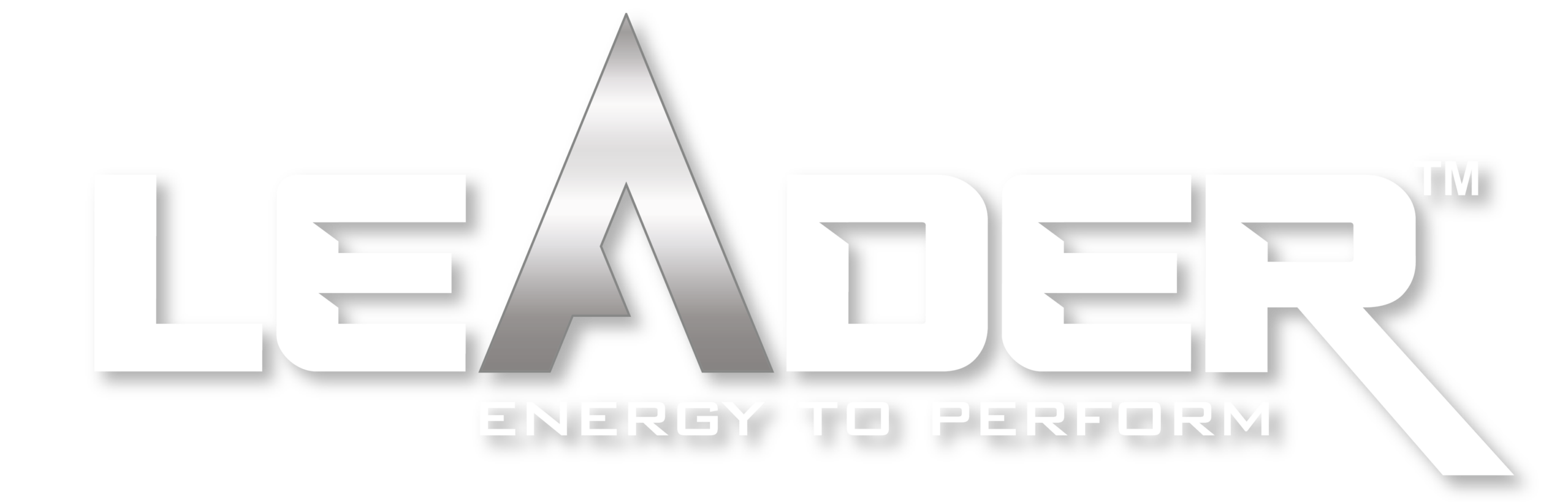 Leader Battery